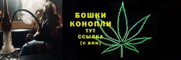 МДПВ Верхний Тагил