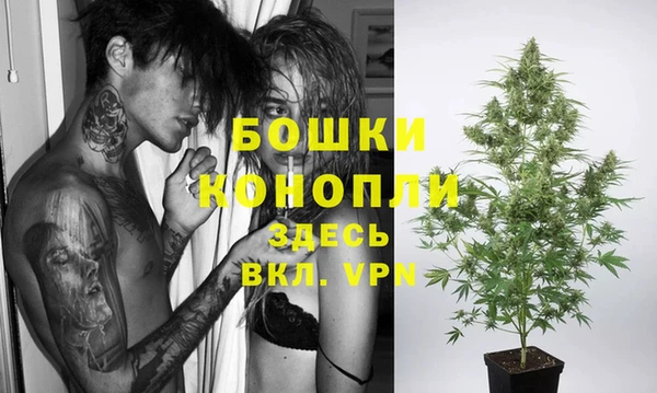 МДПВ Верхний Тагил
