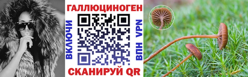Галлюциногенные грибы Psilocybe  Серпухов 